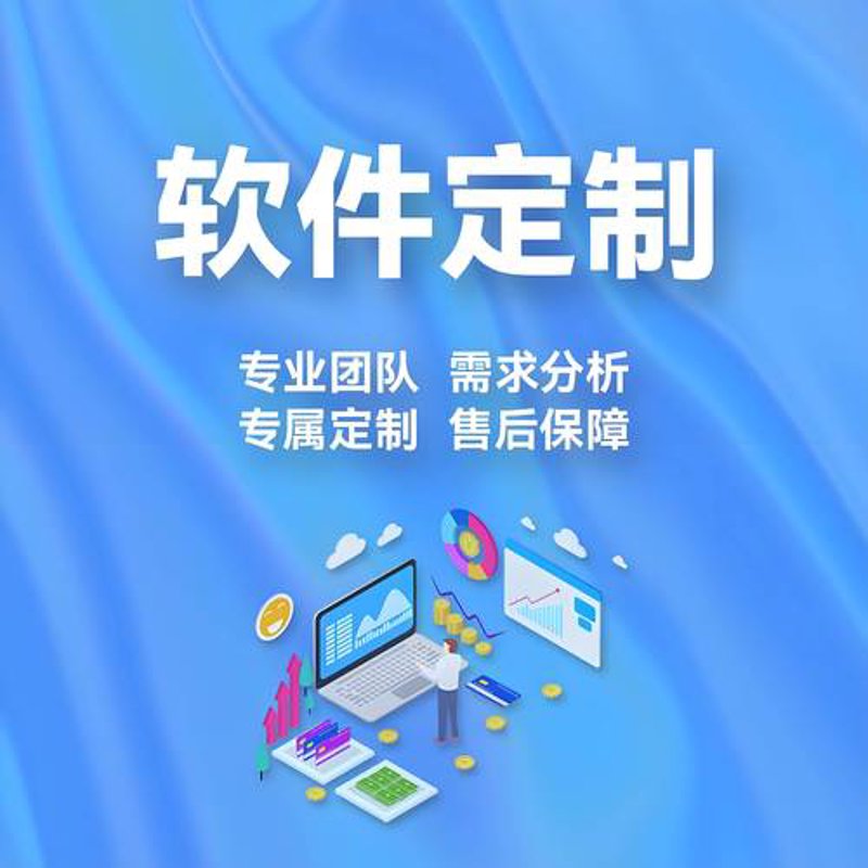 软件定制开发：企业创新发展的利器