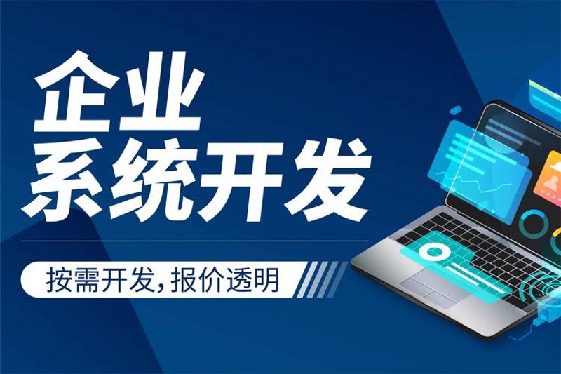 软件外包服务：行业的风向标与变革者